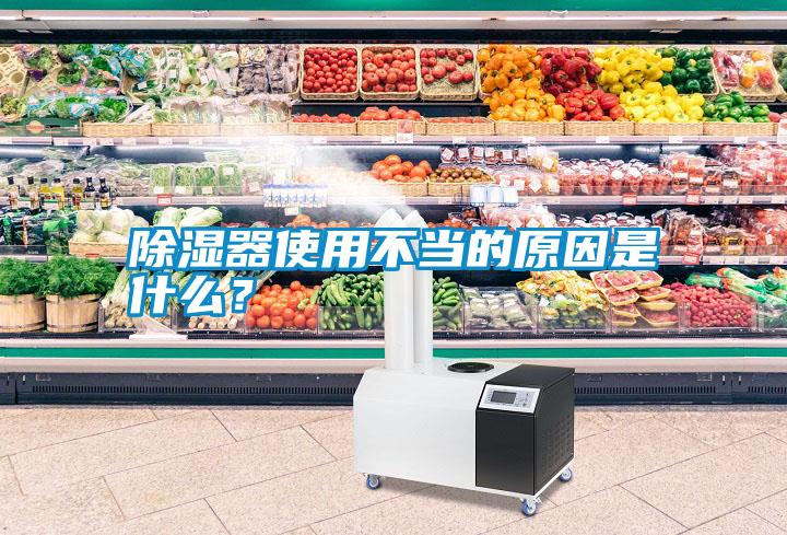 除湿器使用不当的原因是什么？