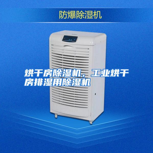 烘干房除湿机，工业烘干房排湿用除湿机