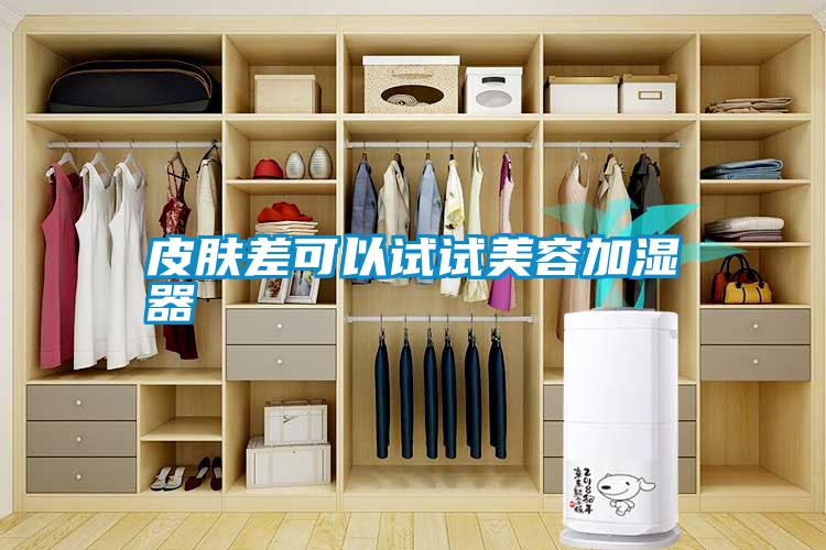 皮肤差可以试试美容加湿器