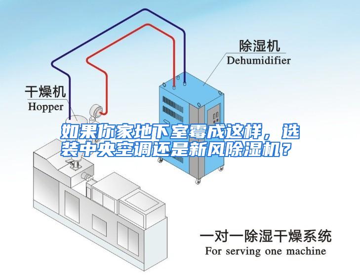 如果你家地下室霉成这样，选装中央空调还是新风除湿机？