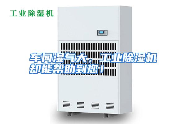 车间湿气大，工业除湿机却能帮助到您！