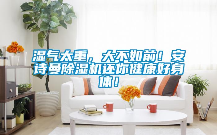 湿气太重,大不如前!安诗曼除湿机还你健康好身体!