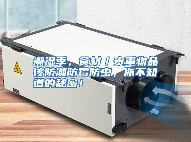潮湿季,食材/贵重物品该防潮防霉防虫,你不知道的秘密!
