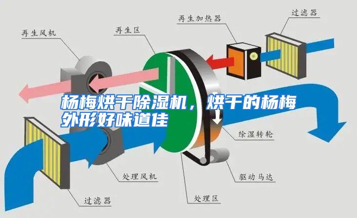 杨梅烘干除湿机，烘干的杨梅外形好味道佳