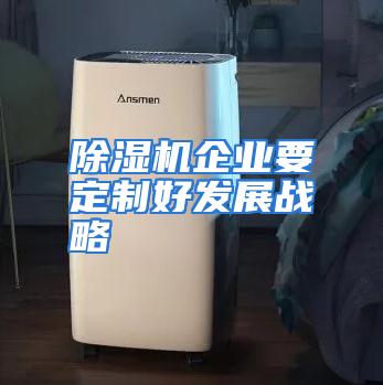 除湿机企业要定制好发展战略
