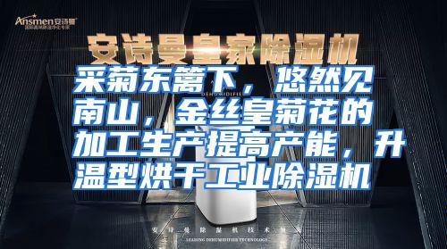 采菊东篱下，悠然见南山，金丝皇菊花的加工生产提高产能，升温型烘干工业除湿机