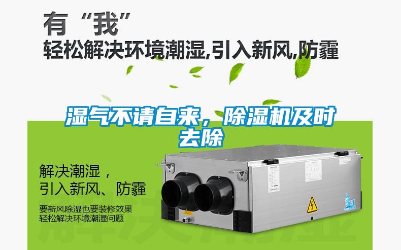 湿气不请自来，除湿机及时去除