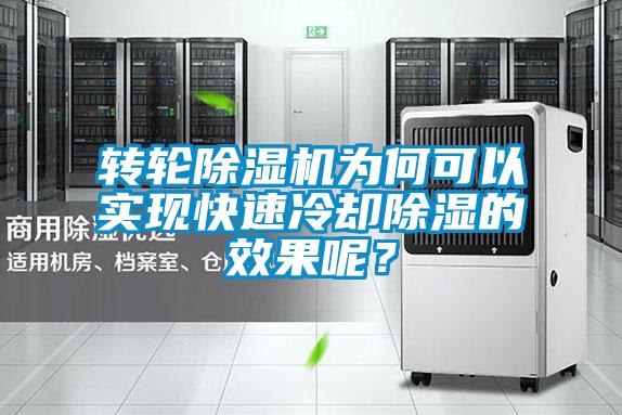 转轮除湿机为何可以实现快速冷却除湿的效果呢?
