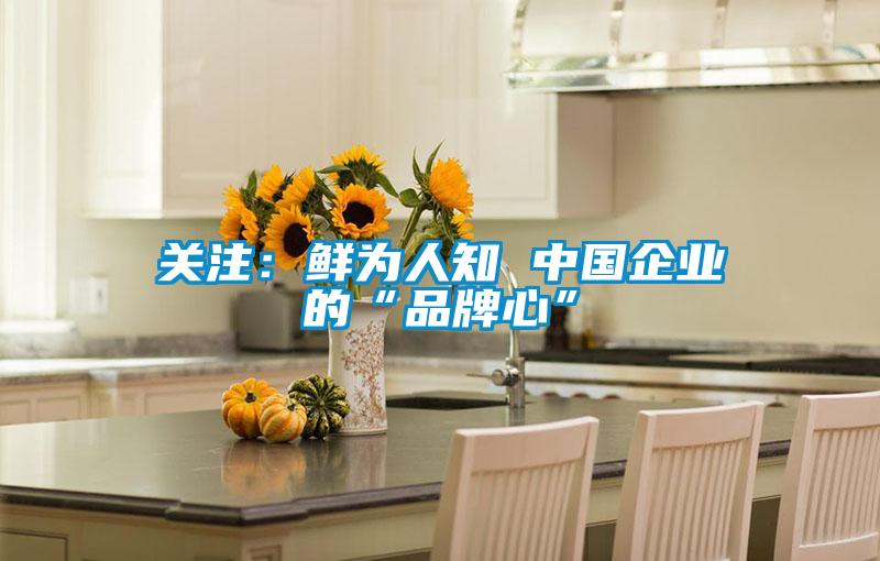 关注：鲜为人知 中国企业的“品牌心”