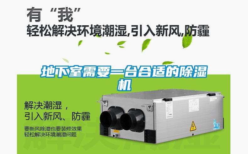 地下室需要一台合适的除湿机