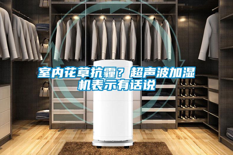 室内花草抗霾？超声波加湿机表示有话说
