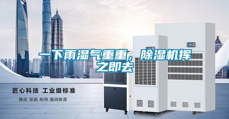 一下雨湿气重重，除湿机挥之即去