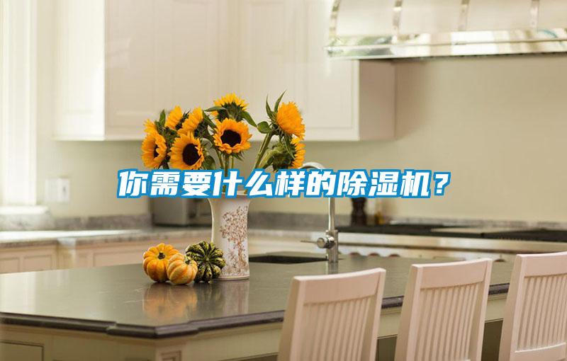 你需要什么样的除湿机？