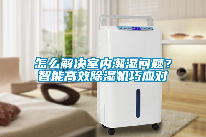 怎么解决室内潮湿问题？智能高效除湿机巧应对