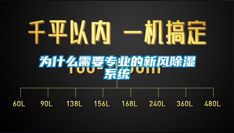 为什么需要专业的新风除湿系统