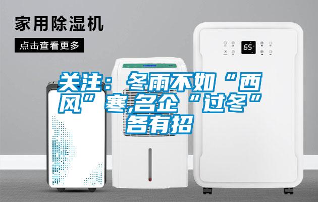 关注：冬雨不如“西风”寒,名企“过冬”各有招