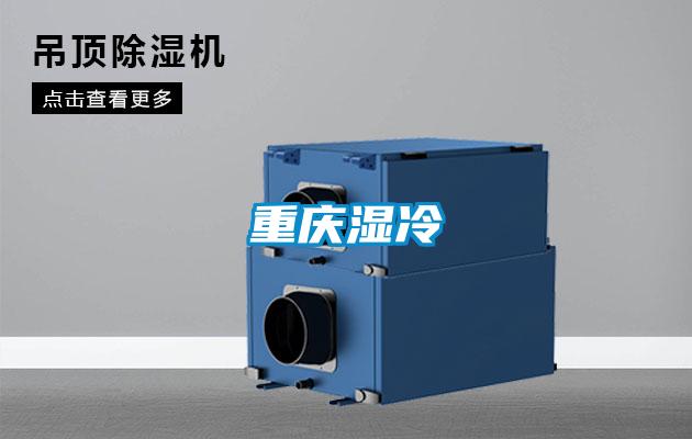 重庆湿冷