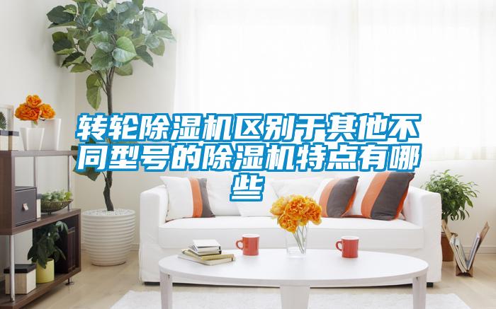 转轮除湿机区别于其他不同型号的除湿机特点有哪些