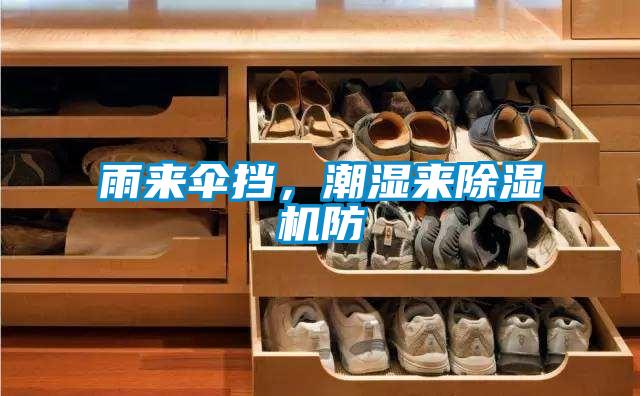 雨来伞挡,潮湿来除湿机防