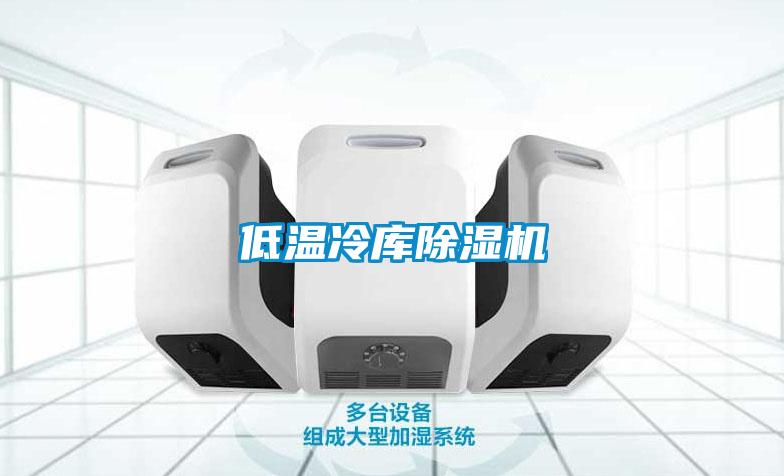 低温冷库除湿机