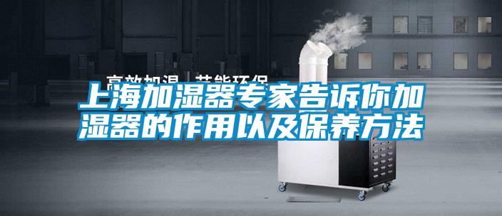 上海加湿器专家告诉你加湿器的作用以及保养方法