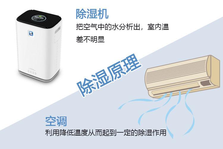 湿冷是什么意思