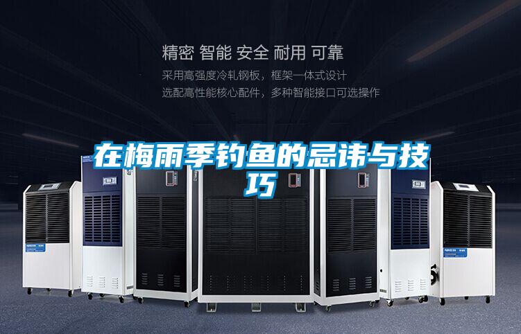 在梅雨季钓鱼的忌讳与技巧
