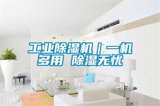工业除湿机｜一机多用 除湿无忧