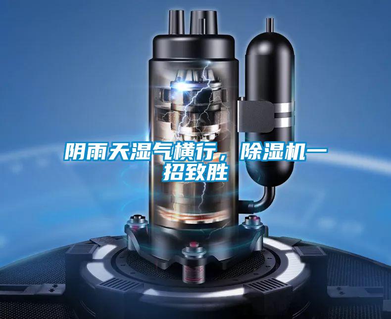 阴雨天湿气横行,除湿机一招致胜