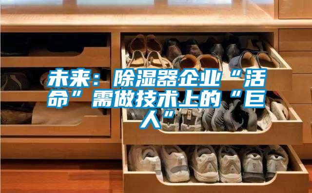 未来：除湿器企业“活命”需做技术上的“巨人”