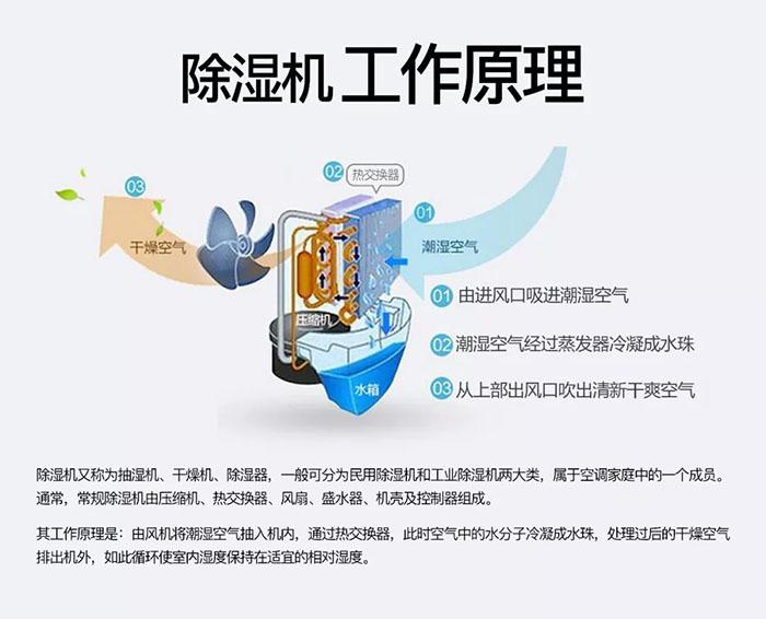除湿机为家人健康上保险