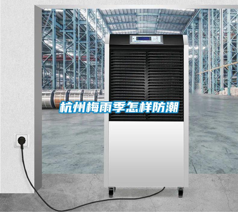 杭州梅雨季怎样防潮