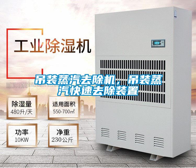 吊装蒸汽去除机，吊装蒸汽快速去除装置