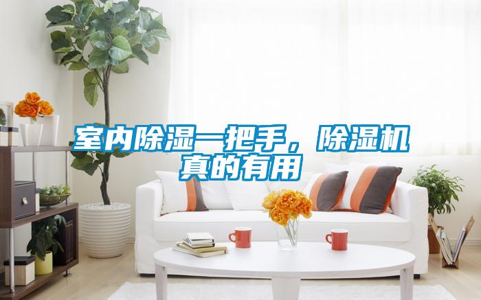 室内除湿一把手，除湿机真的有用