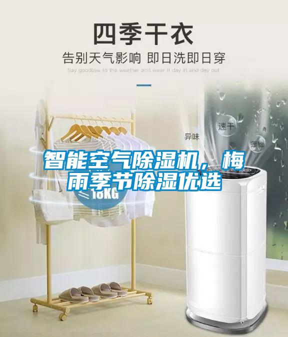 智能空气除湿机，梅雨季节除湿优选