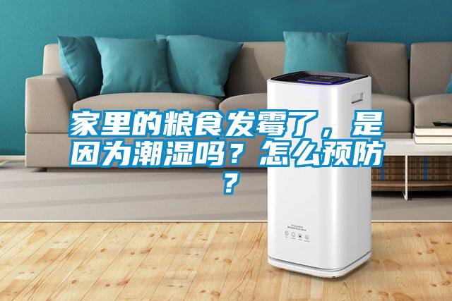 家里的粮食发霉了，是因为潮湿吗？怎么预防？