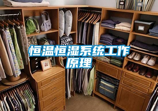 恒温恒湿系统工作原理