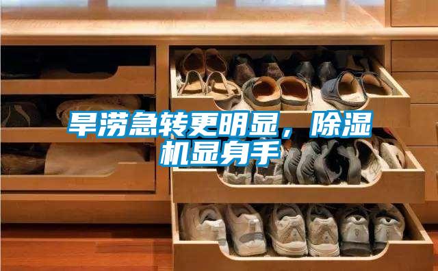 旱涝急转更明显，除湿机显身手