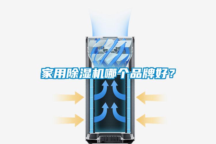 家用除湿机哪个品牌好?