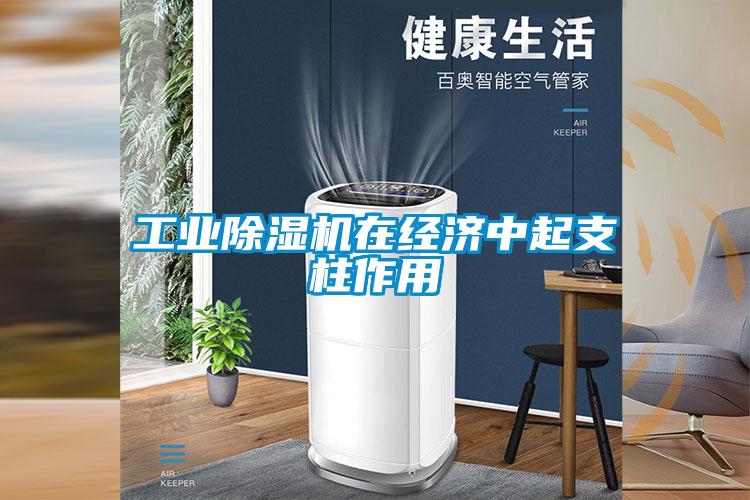 工业除湿机在经济中起支柱作用