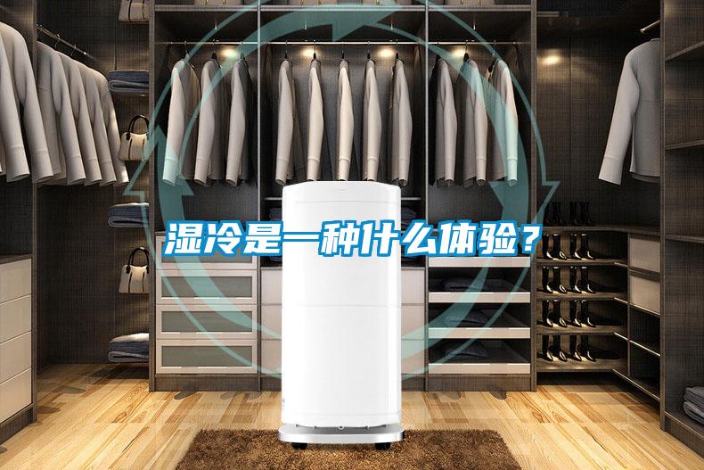 湿冷是一种什么体验?