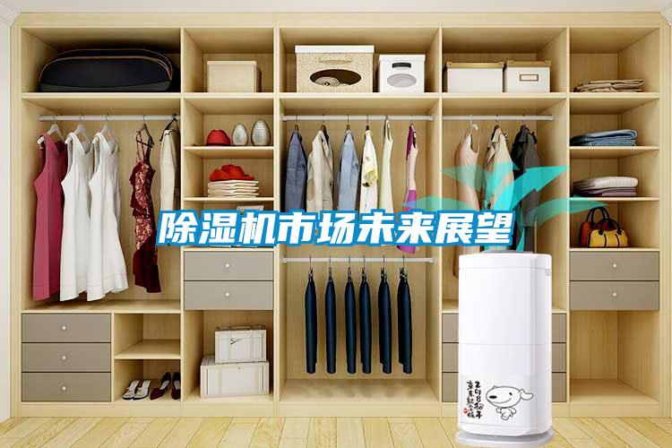 除湿机市场未来展望