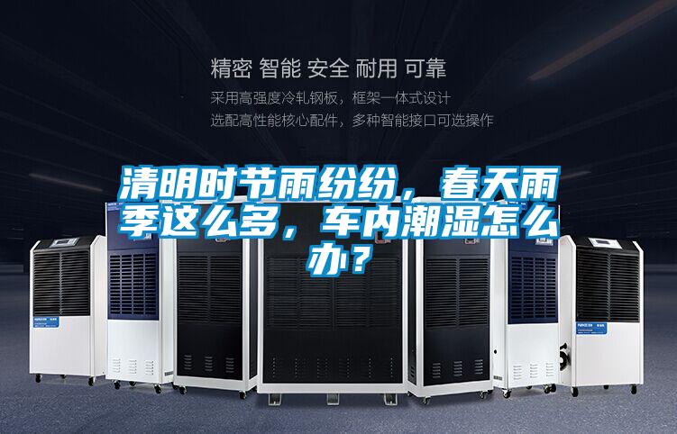 清明时节雨纷纷，春天雨季这么多，车内潮湿怎么办？