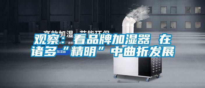 观察：看品牌加湿器 在诸多“精明”中曲折发展