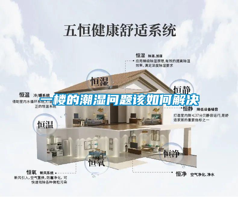 一楼的潮湿问题该如何解决