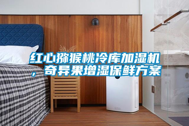 红心猕猴桃冷库加湿机，奇异果增湿保鲜方案
