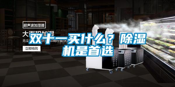 双十一买什么？除湿机是首选