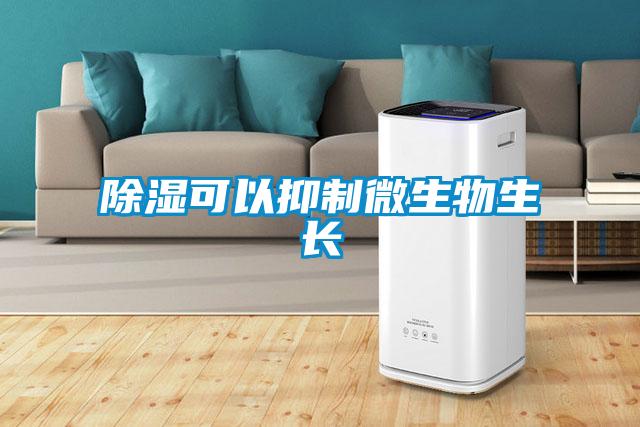 除湿可以抑制微生物生长