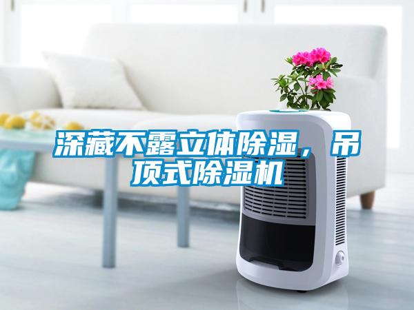 深藏不露立体除湿，吊顶式除湿机