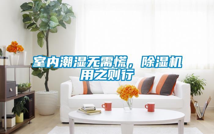 室内潮湿无需慌，除湿机用之则行
